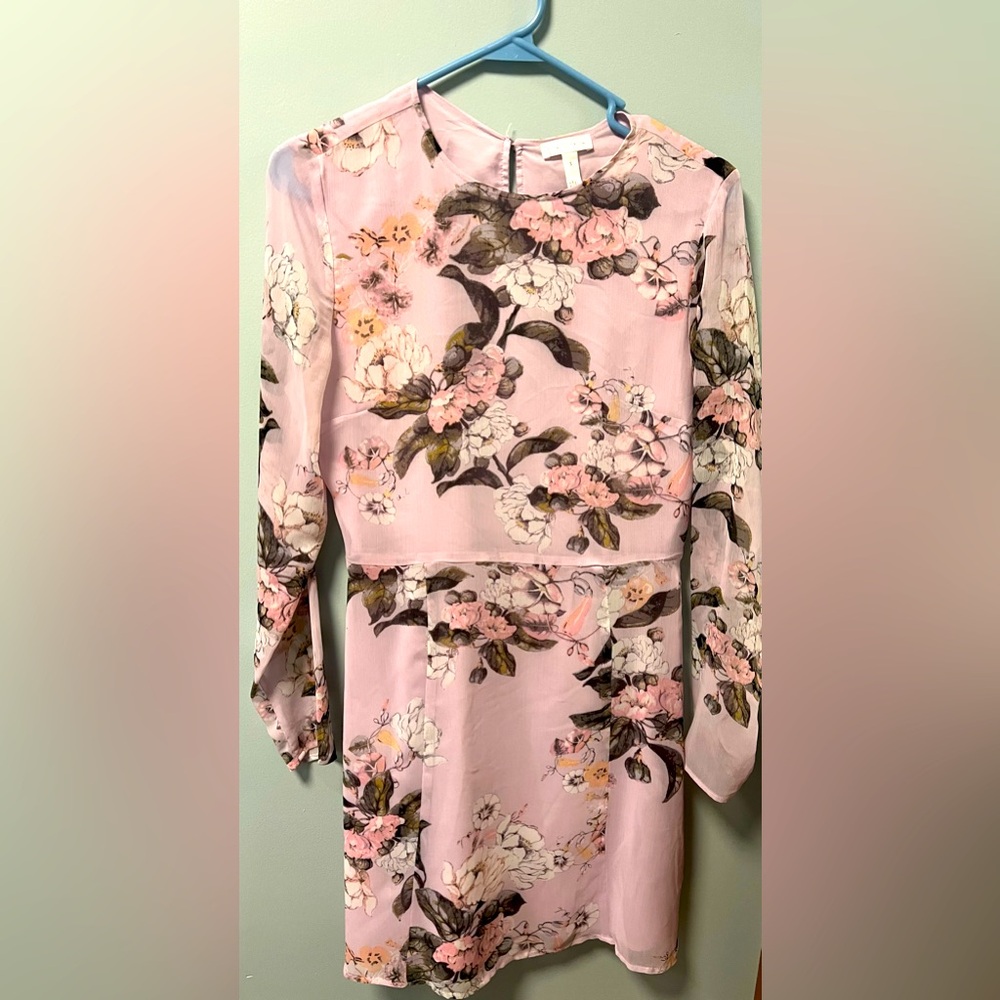 Long sleeve, light, pink dress
